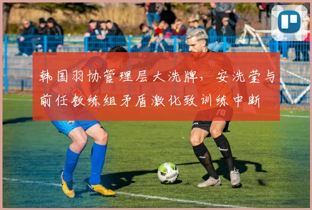 韩国羽协管理层大洗牌，安洗莹与前任教练组矛盾激化致训练中断